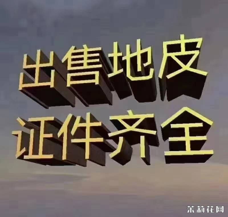 wechat_upload1737294481678d02915b193