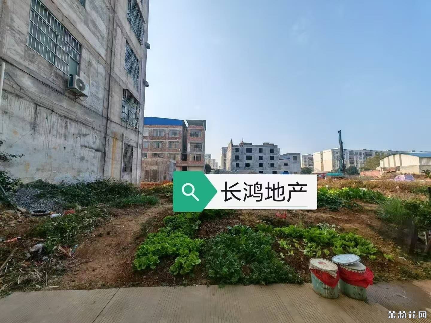 wechat_upload174075427967c1cd67495a1