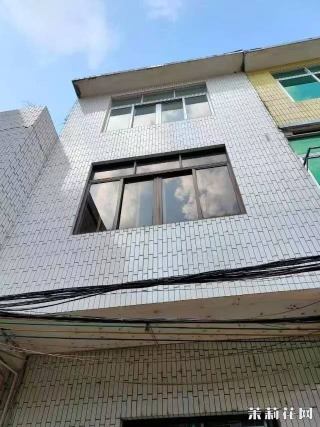 wechat_upload174083905467c3188e7888e