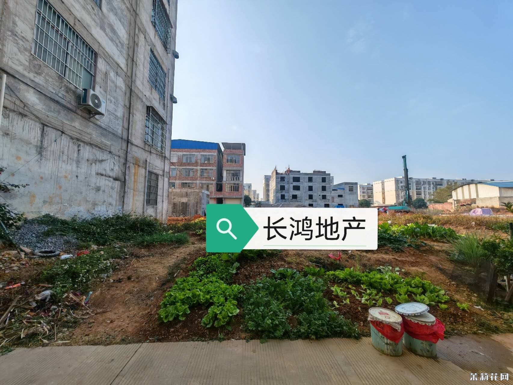 wechat_upload174109204667c6f4cee56f1