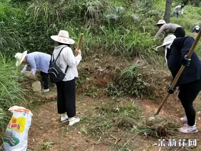 wechat_upload174269521867df6b3258d0f