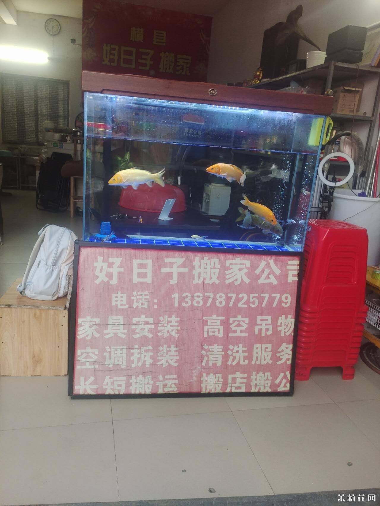 wechat_upload174269547267df6c3070b98