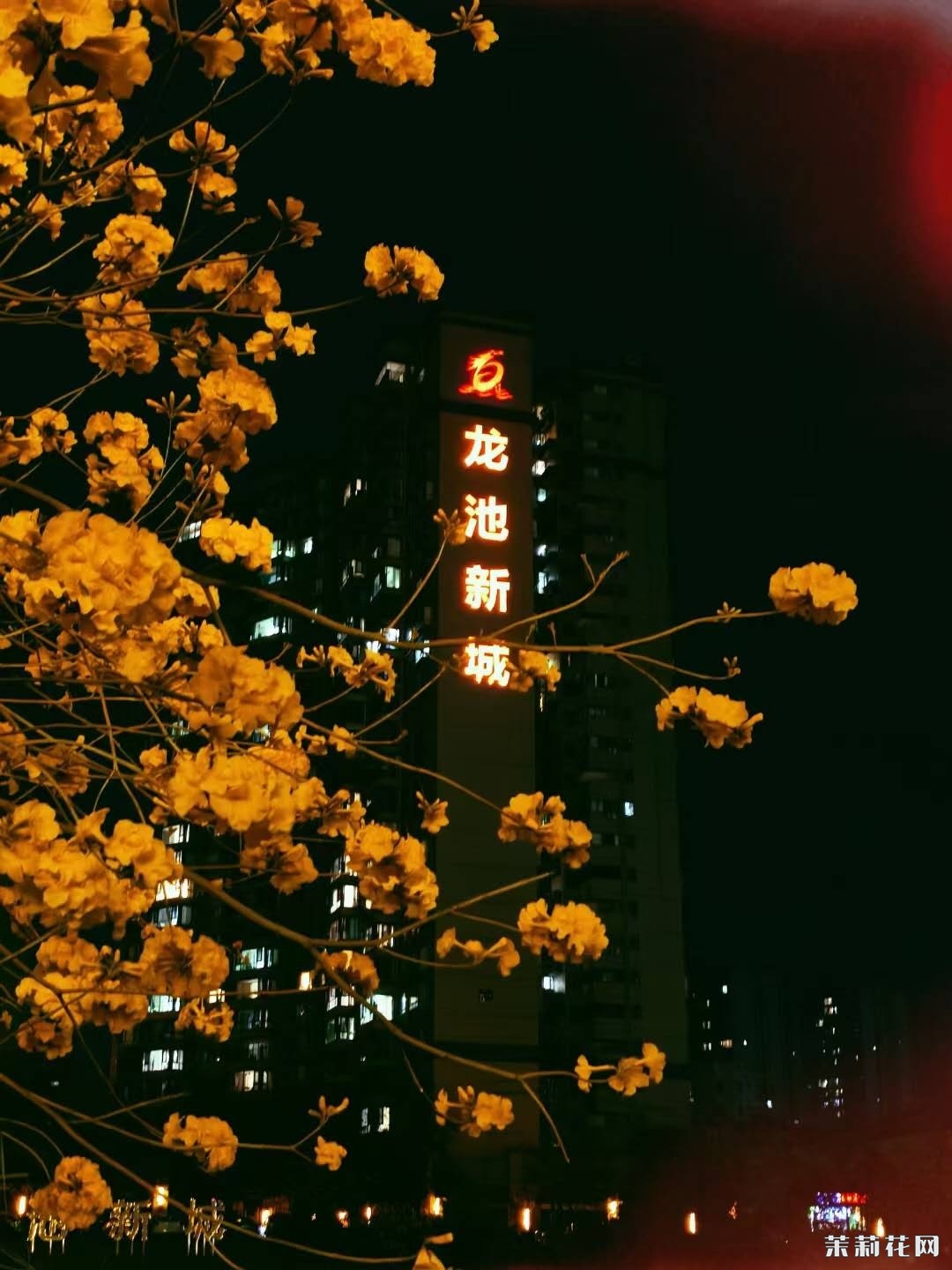 wechat_upload174324670067e7d56c4a72c