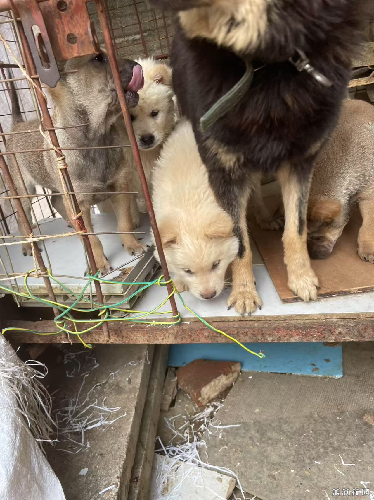微信图片_20250407104336.jpg