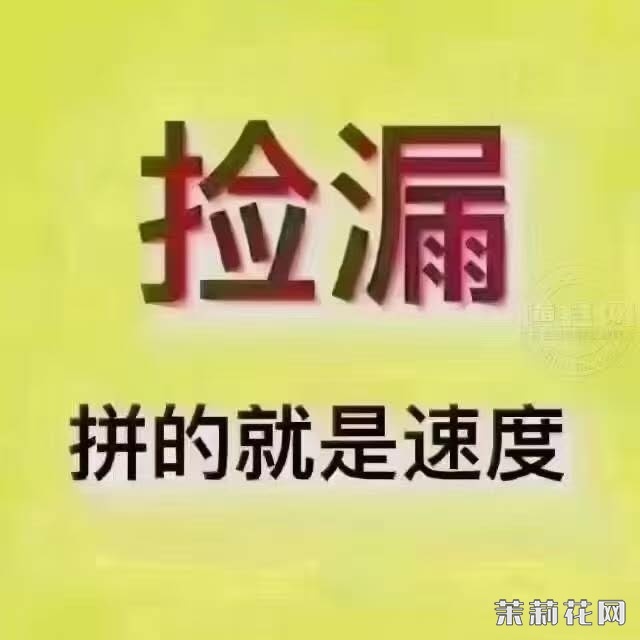 wechat_upload174601270568120a2198e7d