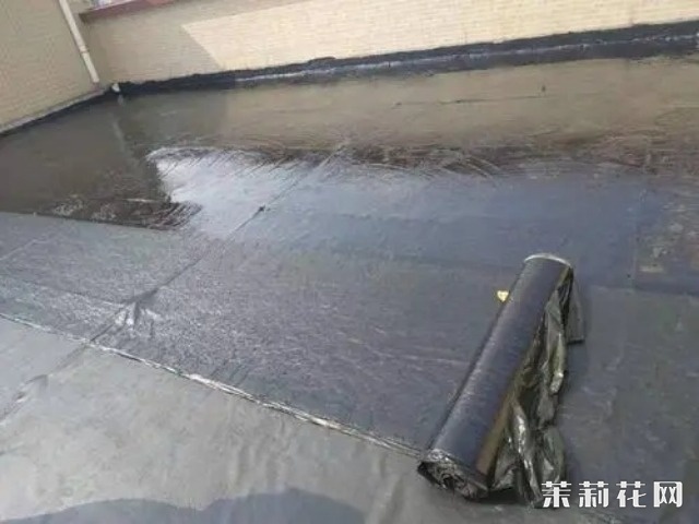 1656305263768.jpg