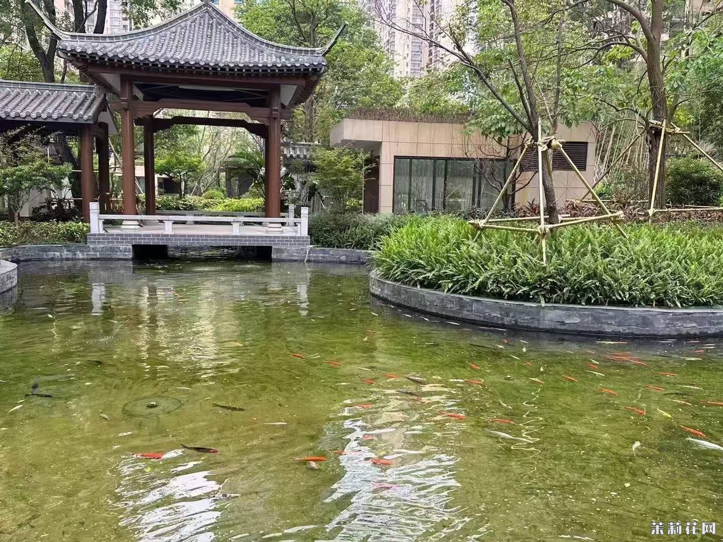 wechat_upload1749223628684308cc12984