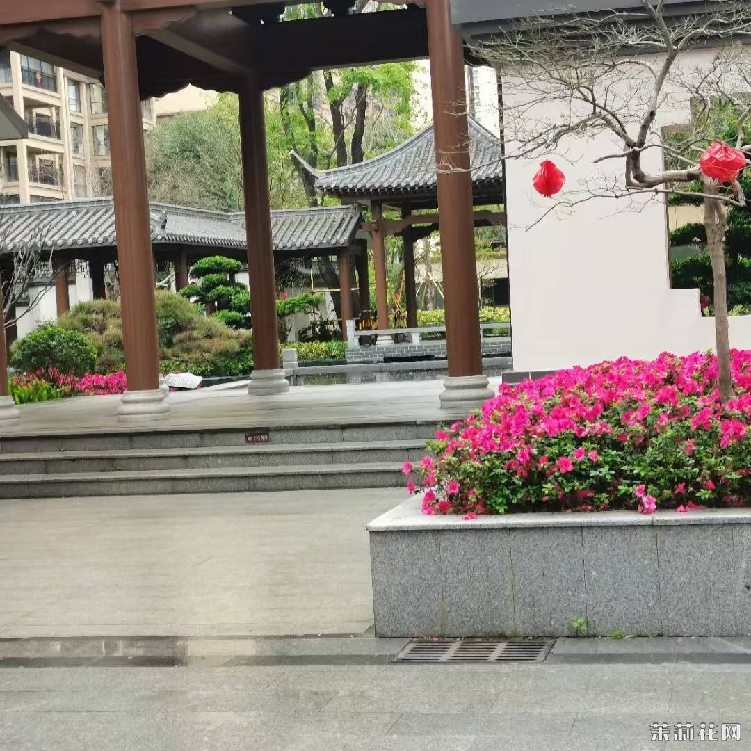 wechat_upload1751027418685e8edadd53e