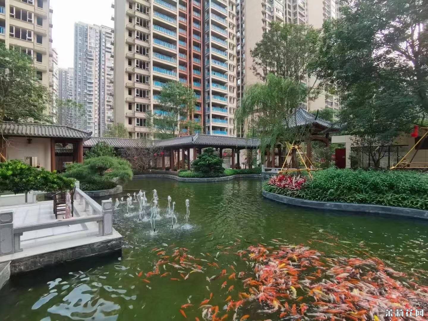 wechat_upload17512827086862741490dff