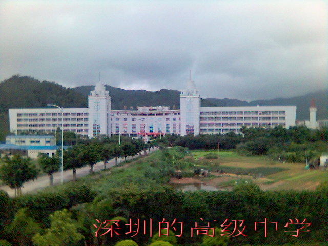 偶们在深圳的日子