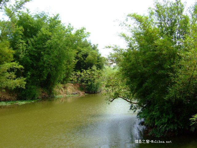 木祥生态园＜随拍＞。
