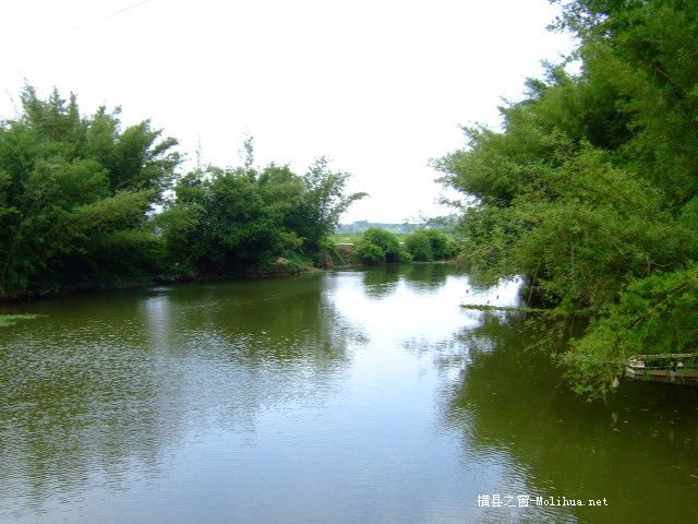 木祥生态园＜随拍＞。