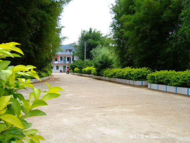 木祥生态园＜随拍＞。