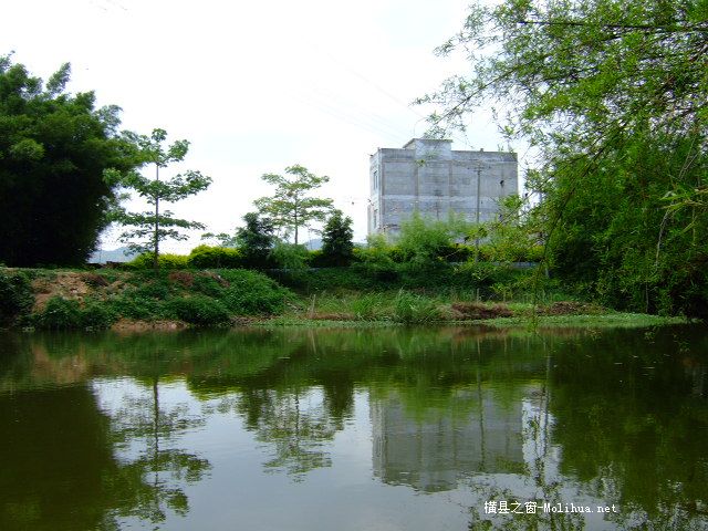 木祥生态园＜随拍＞。