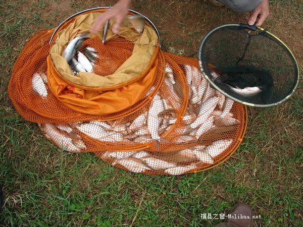 今天乱拍的钓鱼图片`!`