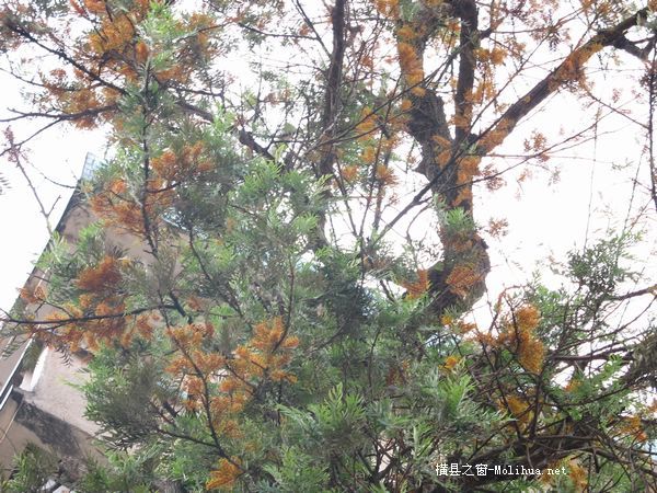 今天乱拍的钓鱼图片`!`