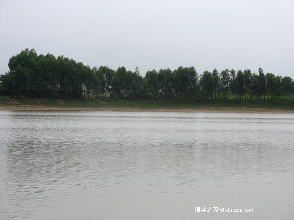今天乱拍的钓鱼图片`!`