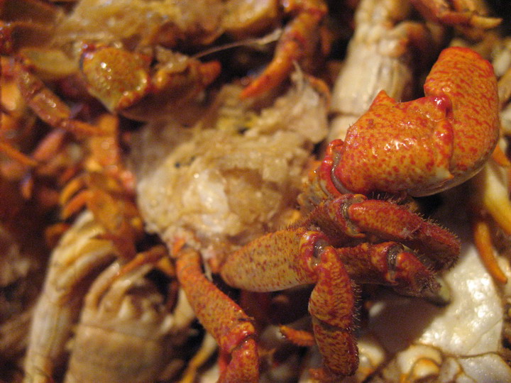 小河蟹，整个连壳都吃完，脆脆香香的