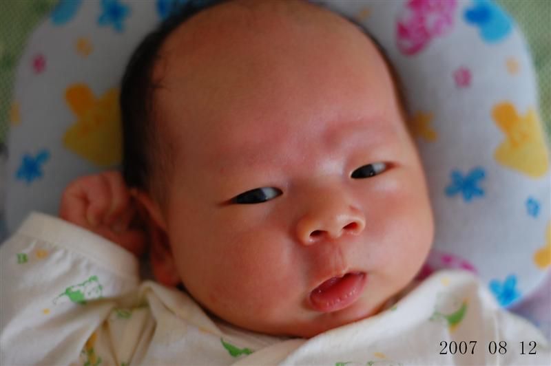 哦！你又是谁？