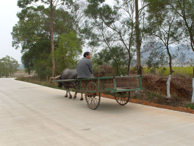 S1051169.JPG