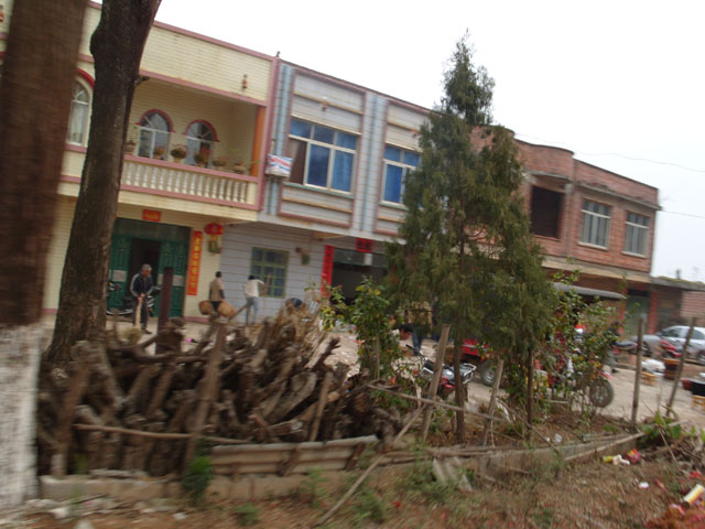 S1051172.JPG