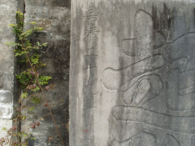 S1051192.JPG