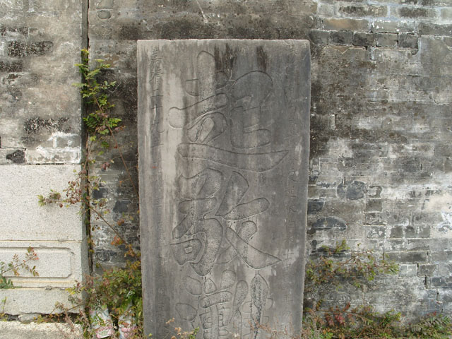 S1051191.JPG