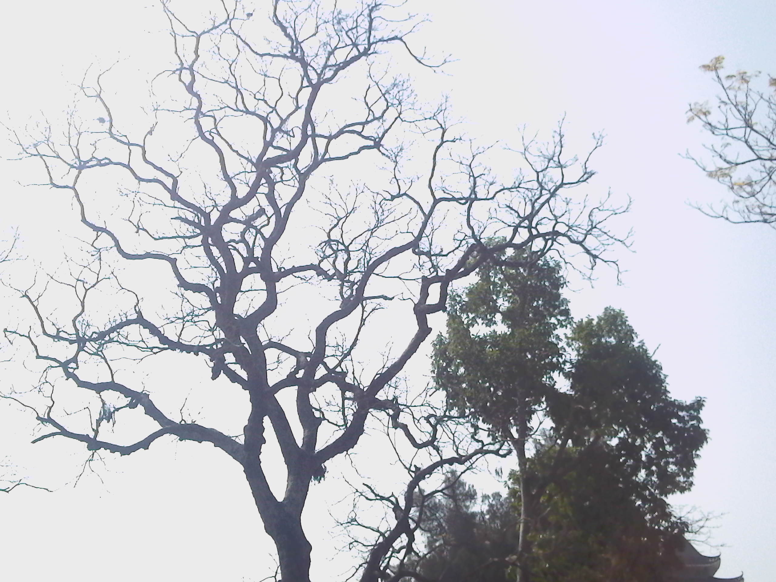 照-0099.jpg