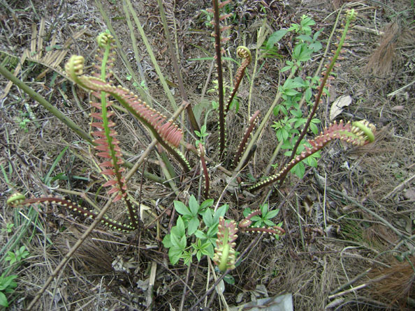 IMG0412.jpg