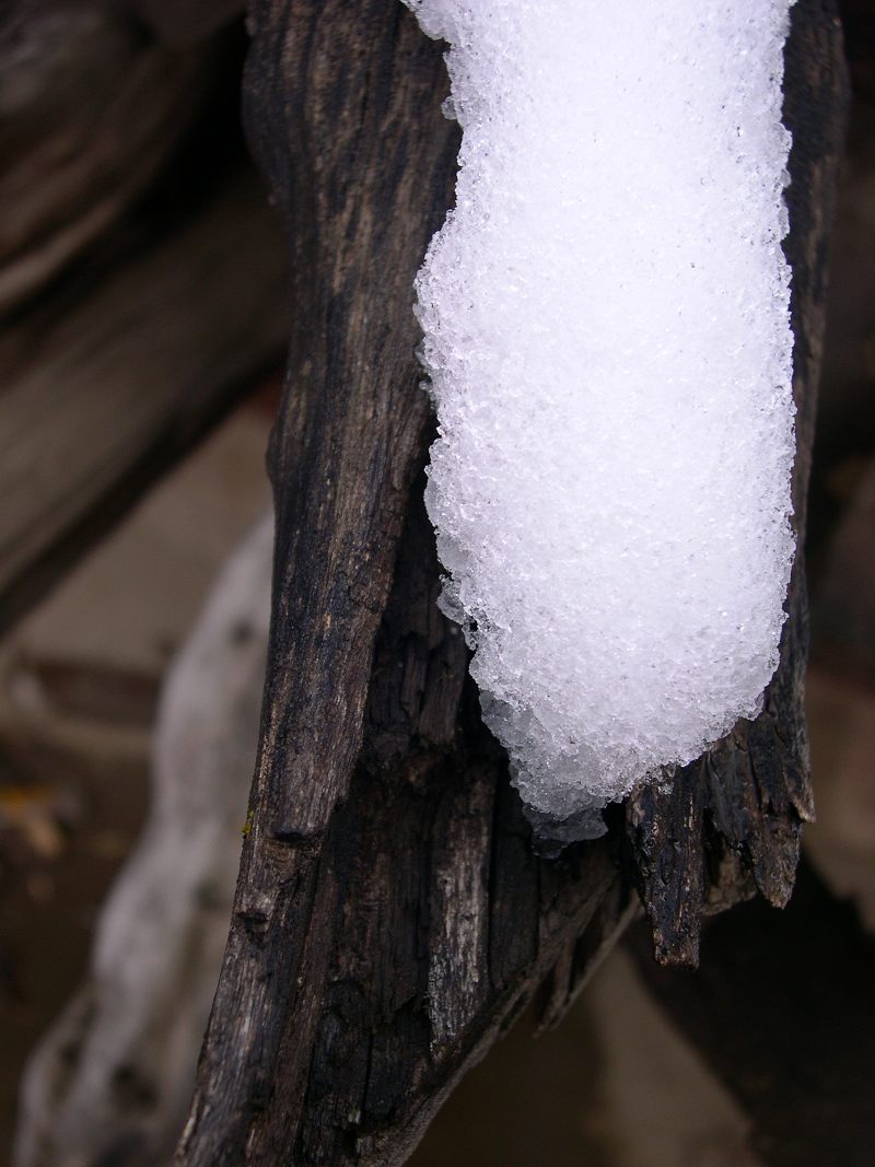 DSCN1591.jpg