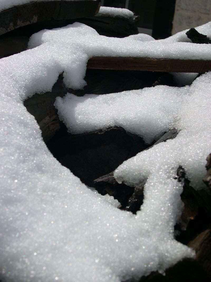 DSCN1596.jpg