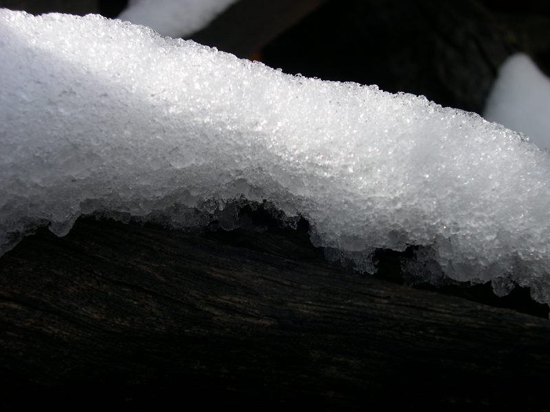 DSCN1602.jpg