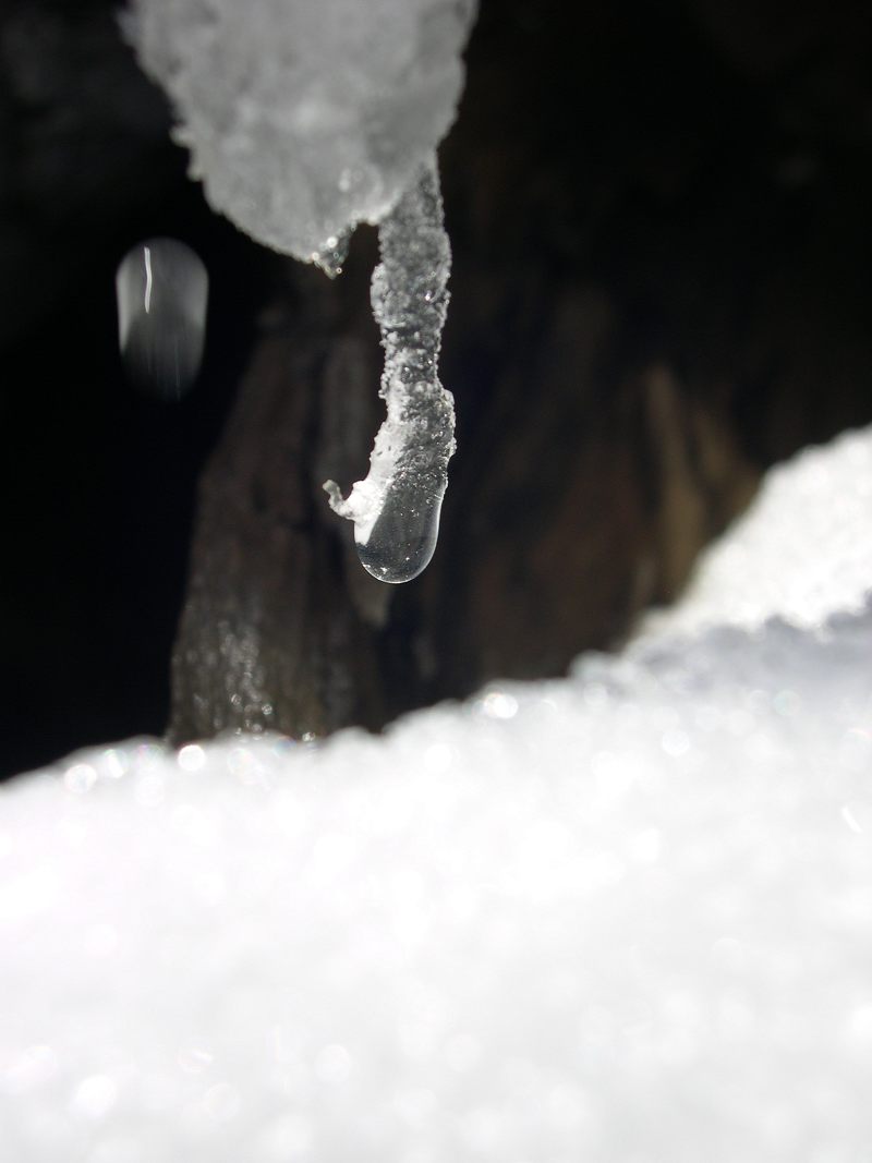 DSCN1625.jpg