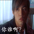 20080602183909.gif