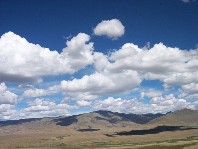 DSCN2630.jpg