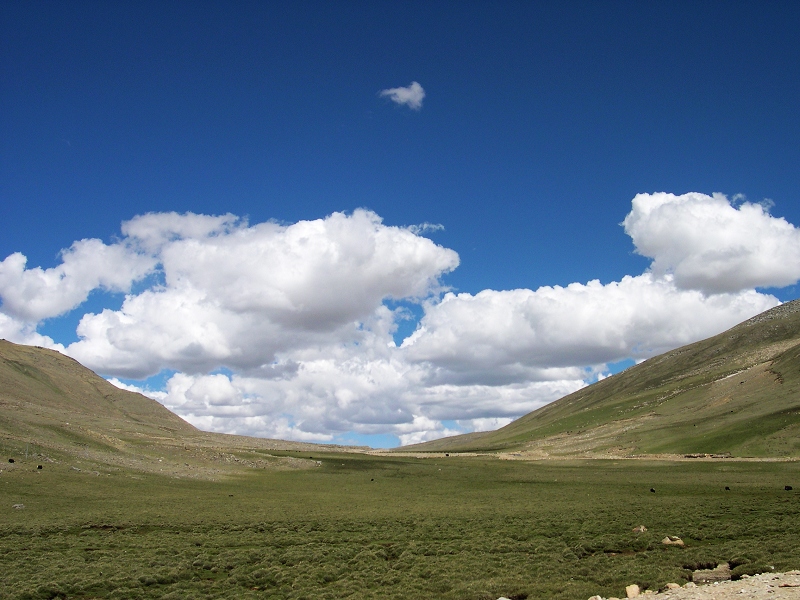 DSCN2205.jpg