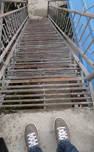 P1000623.JPG