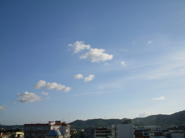 SDC12847.jpg