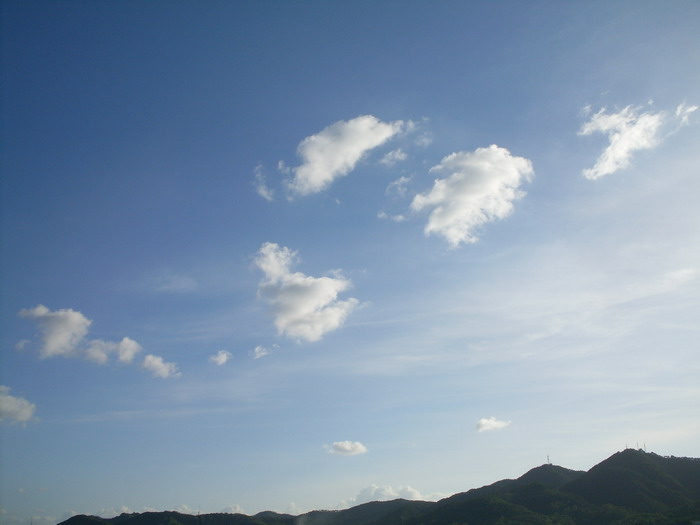SDC12851.jpg
