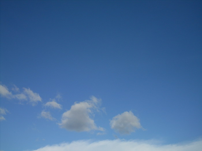 SDC12858.jpg