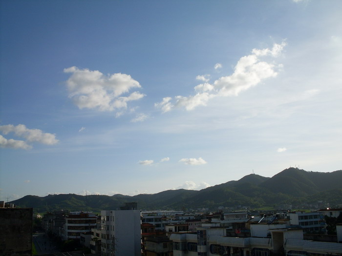 SDC12856.jpg