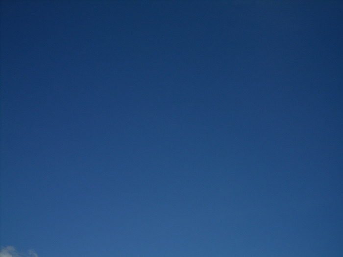 SDC12857.jpg