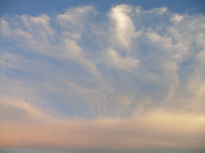 SDC12871.jpg