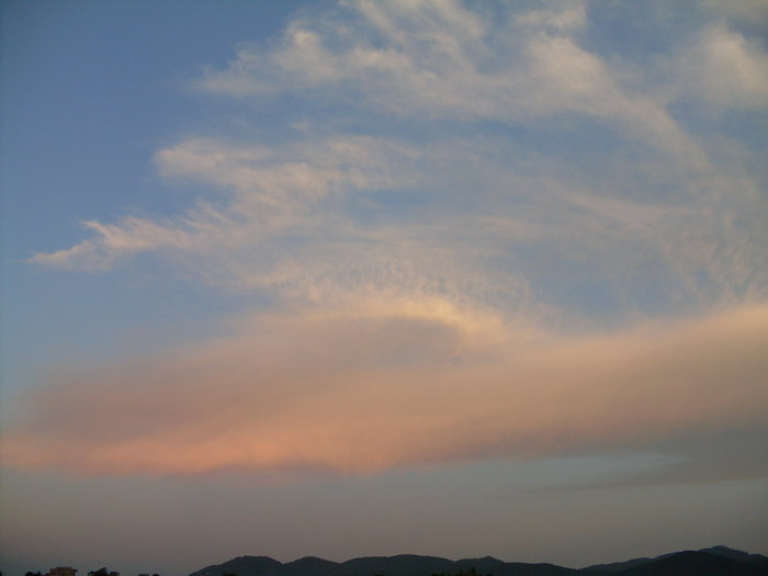 SDC12869.jpg