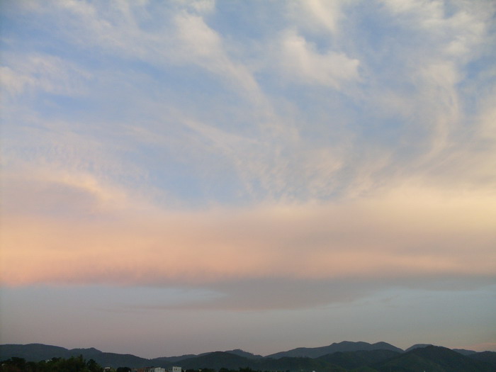 SDC12872.jpg
