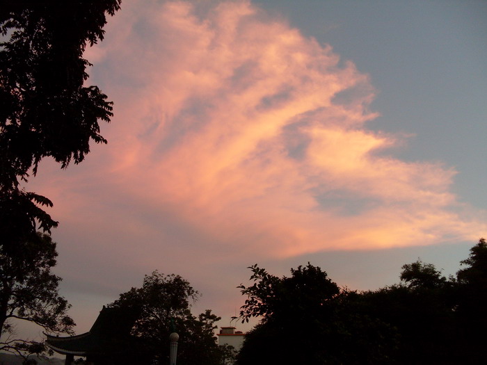 SDC12878.jpg