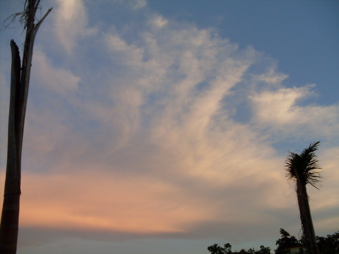 SDC12875.jpg