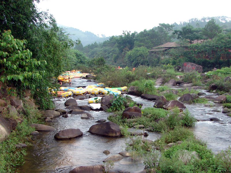 DSC08746.jpg