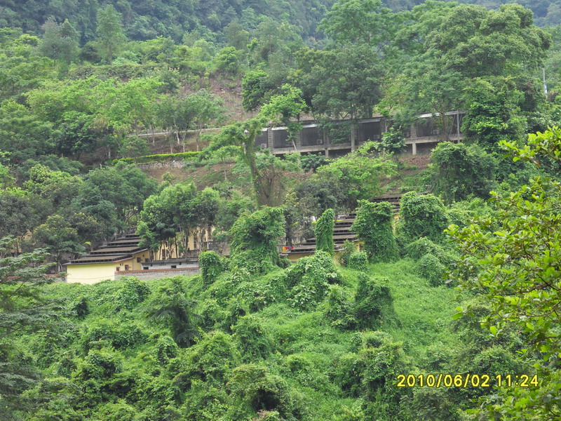 SDC12338.jpg
