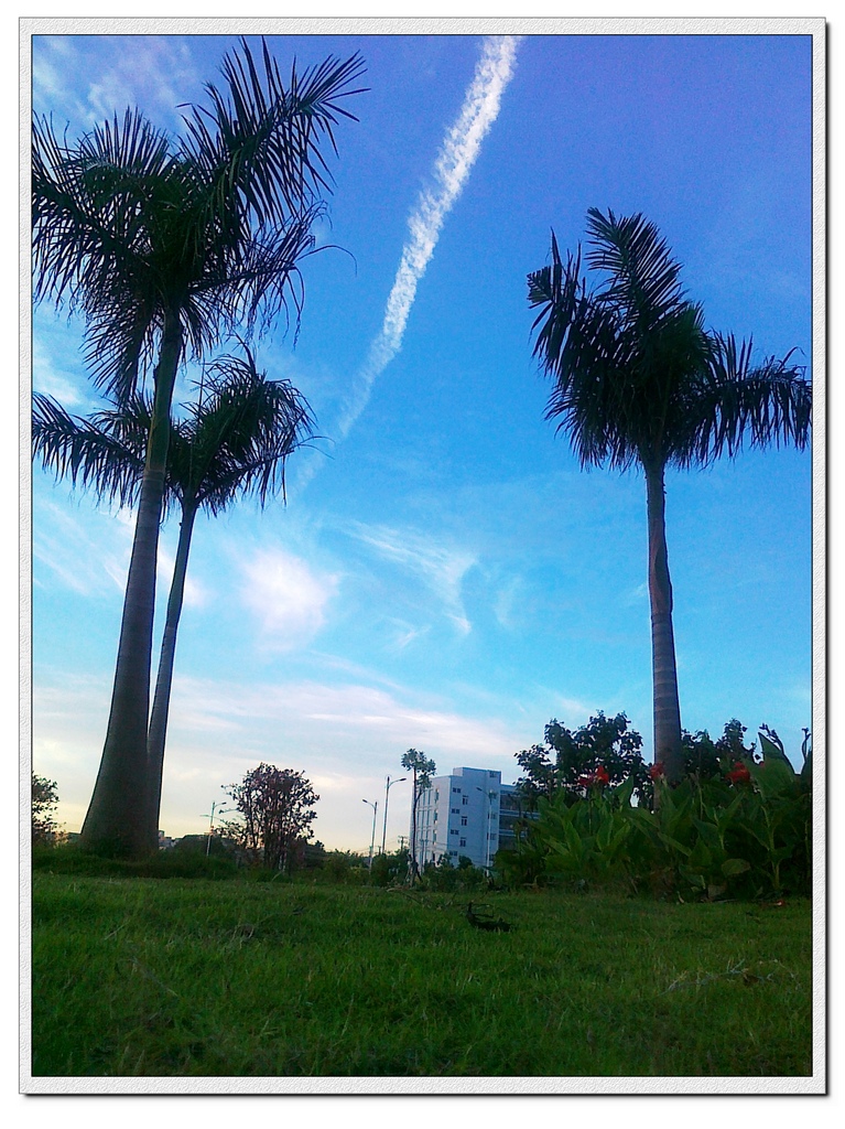 201007020510000.jpg